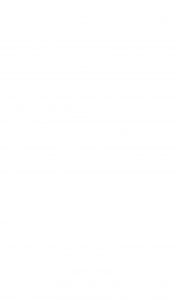 Cушарка для рук SANIFLOW E05A